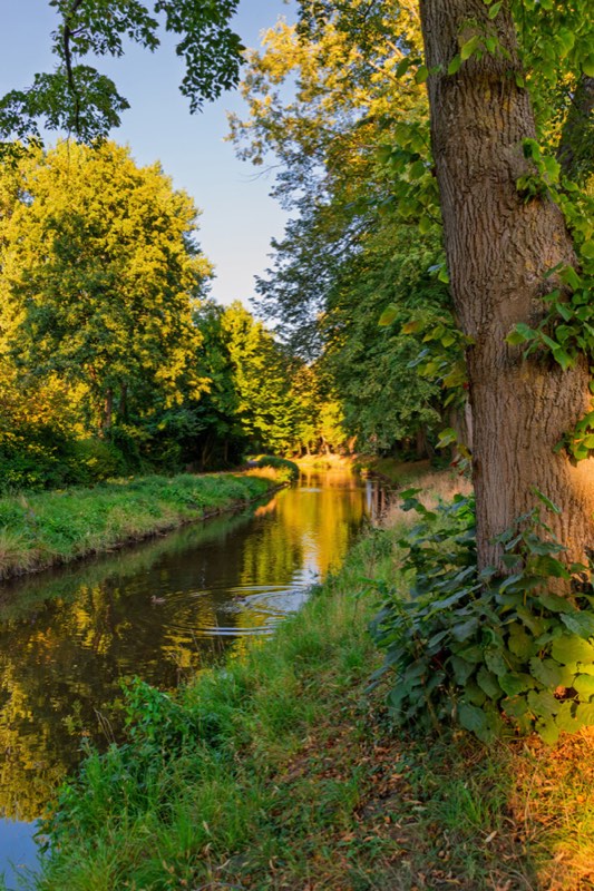 Spreewald Flusslandschaft – stiller Hauptfließ mit Erlenwald