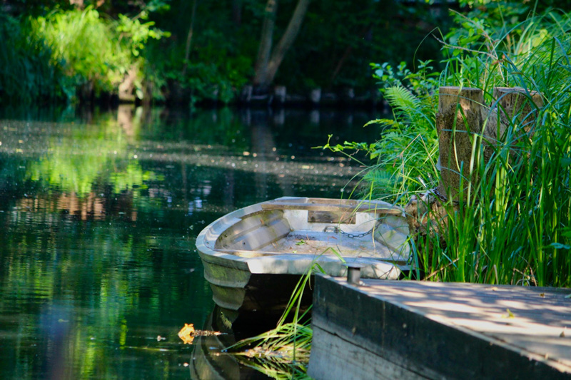 Individuelle Kahnfahrt im Spreewald – privater Kahn auf dem Fließ